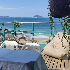 book here